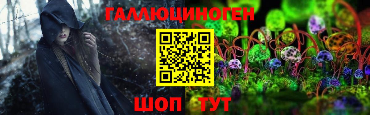 Псилоцибиновые грибы Psilocybine cubensis  Вход с VPN  Джанкой 