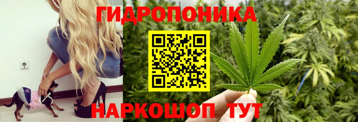 Канабис план  Вход с VPN  Джанкой  Бошки марихуана Amnesia  Канабис OG Kush  Шишки марихуана план 
